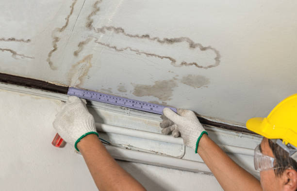 Reliable Water Damage contractor in Newbury, MA by Water Damage Irwin